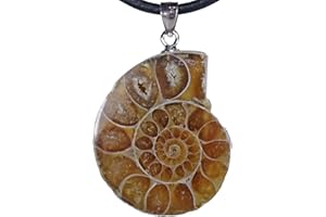 Lebensquelle Plus Ammonit Anhänger 2-3 cm | Natürliches fossil mit 925er Silberöse | Inklusive schwarzem Baumwollband