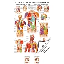 Ruediger Anatomie – Triggerpunkte Tafel, Laminiert, 24 X 34 Cm, Anatomisch Genau, Für Therapeuten & Sportler