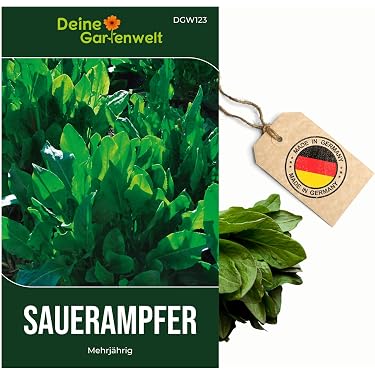 gekeimte brokkolisamen gesund Bio Brokkolisamen Gekeimt Pulver online kaufen