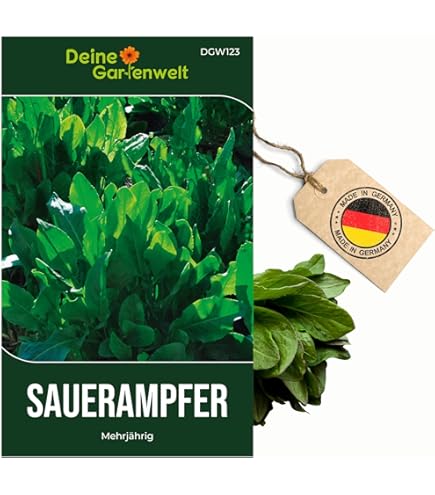 Trffelsamen, 100 Stck/Beutel, Trffelsamen, rustikales Protein enthalten,  kleine natrliche Trffelsamen, Blumen-, Obstbaum- und Gemsesamen Samen :  Amazon.de: Garten