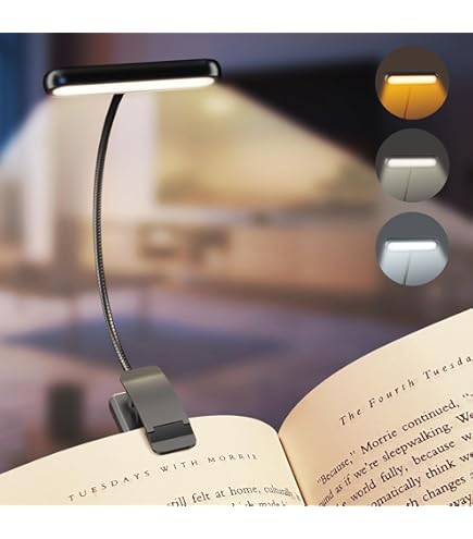 Lampada Da Lettura LED Con Pinza - 16 LED, 3 Temperature Colore, Ricarica USB E Flessibile 360° - Foto 6