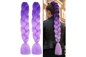Leogony 2PCS 2 Tone Hair Extensions for Braiding, Deep Purple and Light Purple Fake Braids Hair, Plait Coloured Synthetic Wig