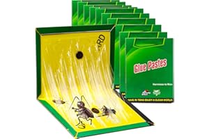 SPINNE LUCAS 10 Piezas Trampas para Ratones, Trampas para Ratas, Trampa Ratones, Trampas Cucarachas, Pegamento Ratones, Ratoneras para Atrapar Ratones, Apto para Cucarachas y Arañas (31 cm x 21 cm)