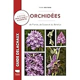 Orchidées de France, de Suisse et du Benelux