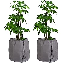 Lot De 2 Pots De Protection Thermique Pour P-lantes 65 X 70 Cm