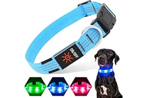 PZRLit Light up Dog Collar Light Rechargeable Waterproof, Adjustable LED Dog Collar, Flashing Reflective Illuminated Glow Dark Dog Collars for Night Walking for Small Medium Large Dogs, (Small)