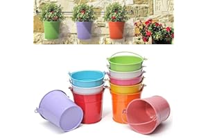 LATERN KAHEIGN 12 Stück Mini Metall Hängende Blumentöpfe, 6cm Blumentöpfe Hängender Blumeneimer mit Abnehmbarem Griff für Balkonzaun Garten Home Decor (12 Farben)