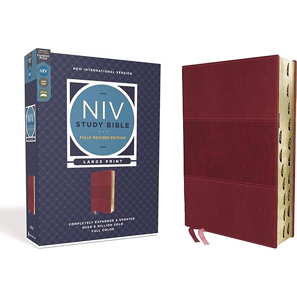 Extra Large Print Niv Study Bible