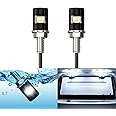 WEIMELTOY License Plate Light, License Screw Bolt LED, Super Bright 12V Waterproof License Plate LED Bulb Legal for Motorcycle Bike Truck RV ATV, Cool White(2PCS)