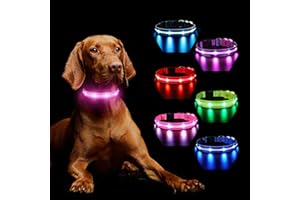 MASBRILL Hundehalsband Leuchtend Aufladbar, Leuchthalsband Hund 7 RGB Farbwechsel mit 8 Leuchtmodi, LED für Kleine Mittlere Große Hunde Leuchtendes Halsband, Rosa L