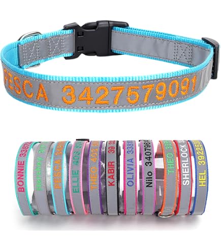 Personalisiertes Hundehalsband Mit Blumenmuster – Name & Telefonnummer Graviert, Verstellbar Für Alle Größen