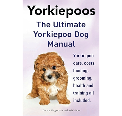how to potty train a yorkie poo