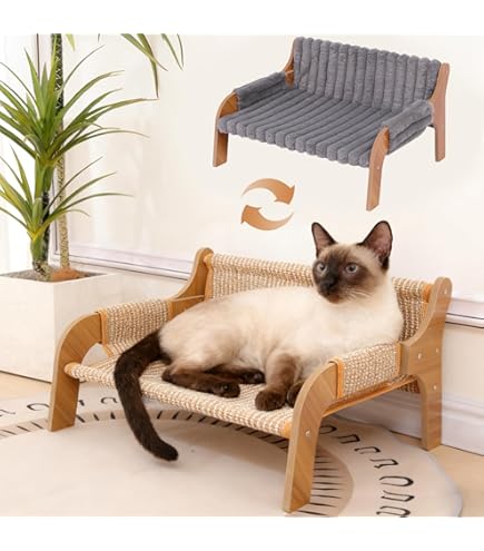 Sisal Kattenmeubellounge, houten kattenstoel met afneembaar