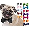 Sage Square Dog Bow - Enhance Your Pet's Style with a Glamorous and Versatile Accessory - Adjustable Neck Bow Cum Bow Tie for Dogs, Puppies, Cats, and Kittens - Medium to Large Size (Multicolor)