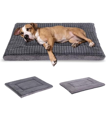 EVERGREENWEB Haustiermatratze 90x115cm - 3cm Hoch, Waterfoam Innenschicht, Waschbarer Bezug, Für Hunde & Katzen