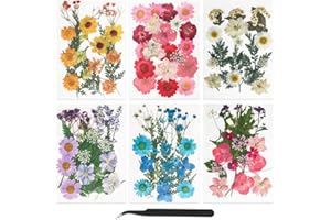 FHzytg 109 Stück Getrocknete Blumen, Gepresste Blüten Trockenblumen Epoxidharz Klein Trockenblumen Resin, Strohblumen zum Basteln Mini Dried Flowers Getrocknete Blumen für Kunstharz Schmuck