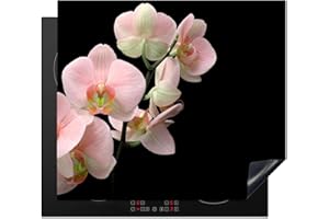 MUCHOWOW Protège-plaque à induction - Plaque Protection Vitrocéramique Induction - Vinyl - Orchidée - Fleurs - Rose - Nature morte - Flore - 59x52 cm - Couvre Plaque de Cuisson - Accessoires de Cuisine