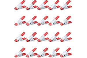 FDGAUCA 20 Morsetti a Molla da 2 Pollici, Resistenti Mollette in Metallo, Lunghe 5 cm, Clip per Fazzoletti Per Foto, per Telone, Campeggio, Lavorazione del Legno, Strumento per Modellismo