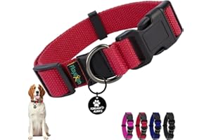 PLAYEXEN Collare Cane, Collare Regolabili in Morbido Cotone per Cani & Gatto Taglia Piccola Media Grande, Collari per Cane Personalizzato con Medaglietta Rimovibile, 40-60/2,5cm (L), Rosso