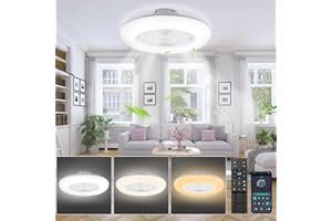 Lospitch 80W Ventilatore da Soffitto con illuminazione, 6 Velocità, Plafoniera LED Dimmerabile con Ventilatore con Telecomando e APP, Modalità Estiva e Invernale, 3000-6500K (Ø 55CM)