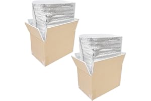 STRBOXONG Thermo Chill Doble Caja Aislada con Papel de Aislamiento, Caja Fría para Alimentos Congelados, Caja Fría para Envíos Postales, Envío Postal de Paquetes 250x155x140 mm (2 Piezas)