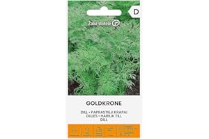 ŽALIA STOTELĖ Zalia stotele | ENELDO - GOLDKRONE Semillas | Semillas de Hortalizas | semillas de eneldo | semillas de plantas | semillas de jardín | 1 paquete