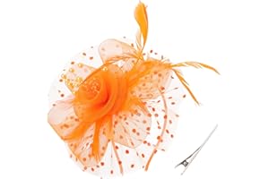 DRESHOW Fascinator Hüte für Damen Pillbox Hut mit Schleier Stirnband und Einer Gegabelten Clip Tea Party Kopfbedeckung