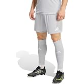 adidas Entrada26 Shorts Şort Erkek