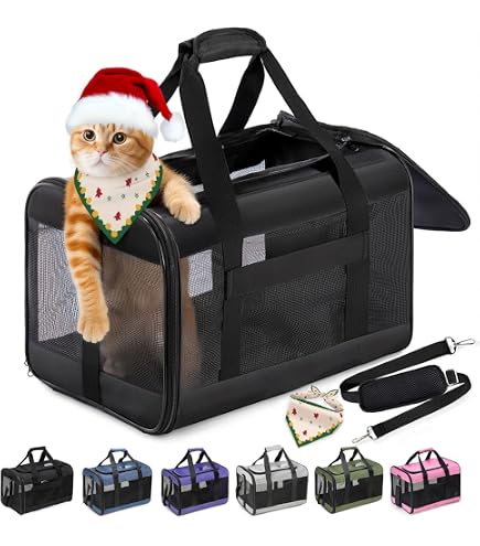 Zaino Trasportino Per Gatti E Cani Piccoli - Fino A 8 Kg, Pieghevole, Traspirante, Con Guinzaglio Di Sicurezza Interno Zaino Per Gatti Portatile Zaino Trasportino Per Gatti E Cani Piccoli - Fino A 8 Kg, Pieghevole, Traspirante, Con Guinzaglio Di Sicurezza Interno Zaino Per Gatti Portatile