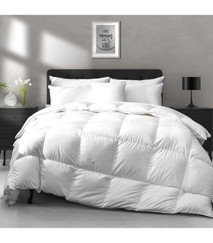 Couette 4 Saisons APSMILE En Duvet D'oie - Confort Maximal Pour Lit 2 Personnes 220x240 Cm