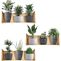 Adesivi Murali Piante, 4 pz Realistico Verde Pianta In Vaso Impermeabile Wall Art Adesivi 3D Vinile Rimovibile Wall Sticker per Soggiorno Camera da Letto Bagno Cucina Decor Ufficio
