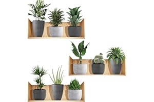 KEUGT Adesivi Murali Piante 3D,3 pz Adesivi Murali Soggiorno 3D,Vasi di Fiori Adesivi Murali Decalcomania,Adesivo da parete 3D Piante Verdi in PVC per Camera da Letto,Cucina,Ufficio,Corridoio,Deco da Parete