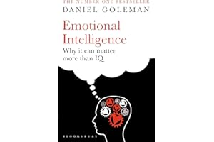 Emotional Intelligence: Why it Can Matter More Than IQ