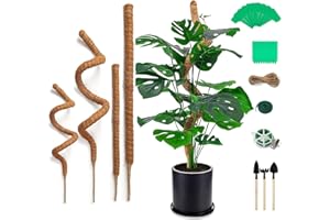 Votoko 4 pièces Tuteur Plante Monstera, Tuteur Coco Plantes Grimpantes, Longueurs 120 cm+70 cm avec Accessoires, Poteau de Moss Pole pour Soutenir et Donner Forme aux Plantes Intérieurs ou Extérieurs