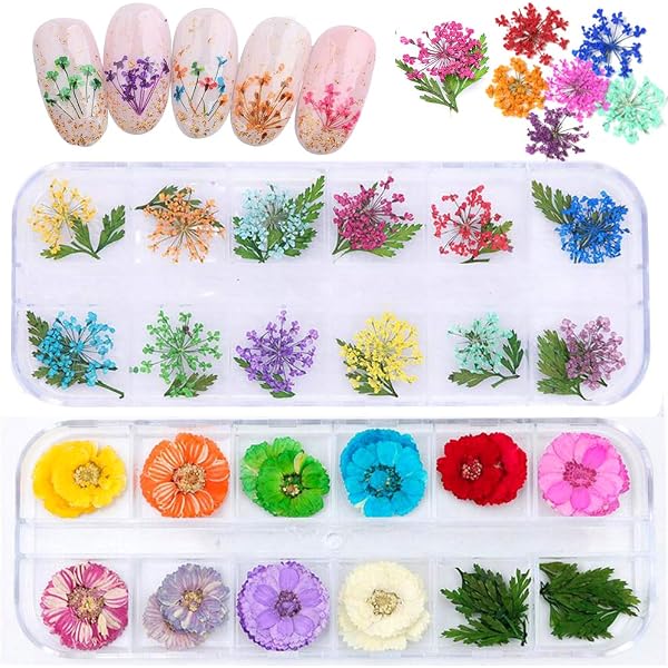 Bodhi2000 Mini Nagel-Blumen – Getrocknete 3D-Blumen Für Nail Art, 45–50 Stück Pro Box