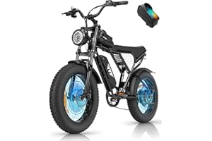 YVY Vélo Électrique, Batterie Amovible 20/40Ah, Autonomie 120km/150km/300km, Fat Bike Électrique, VTT Électrique 7 Vitesses, E-Bike Double Suspension, Double Disque, Écran LCD