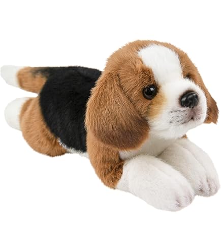 Hond Husky Pluche Knuffel 22 cm kopen