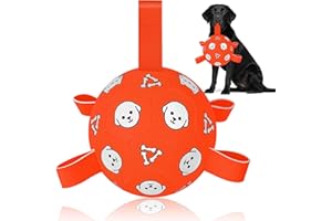 WYNTRIUM Interactive Dog Football Toys with Webbing, Durable Bright Dog Balls for Fetch, Floating Water Ball for Medium/Large Breed, Indoor & Outdoor (Orange,8inch)