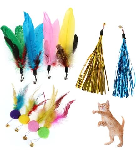 Giocattoli Di Piume Per Gatti - 4 Ricariche Naturali Senza Coloranti