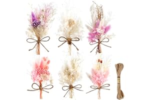 JABNOW Trockenblumenstrauß Klein 6 Bündel Mini Getrocknete Blumen zum Basteln, Natürliche Klein Trockenblumen für Bilderrahmen DIY Basteln Handwerk Geschenk Deko(Rosa + Beige + Lila)