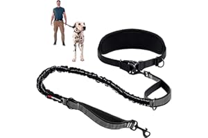 Robuste, freihändige Hundeleine von Tuff Pupper | Ein großer Hund bis 55 kg | Bequemer, stoßdämpfender Bungee | Reflektierende gepolsterte Griffe | Lendengürtel 55-110 cm | Leine zum Joggen und Laufen