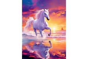 Bimkole 5d Diamond Painting Kit Bricolaje Arte Mar De Caballo Blanco, Cielo Al Atardecer Pintura Diamantes Kits Estampados De Punto De Cruz Diamantes de Imitación Decoración de Pared, (30x40 cm)