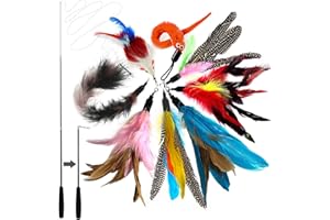 onebarleycorn Jouet Chat Plume, Jouets pour Chats à Plumes, 1 Rétractable Canne à Pêche Chat Jouet avec 8 Recharges,Interacti pour l'intérieur Chats et Chatons(9 PCS)