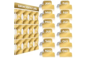 OUTUS 24 Pièces Accessoires Onglets d'Index Adhésifs Onglets Mensuels Autocollants de Planificateur Onglet Index Mensuel Décoratif pour Organisations de Planificateurs d'Études de Bureau (Or)