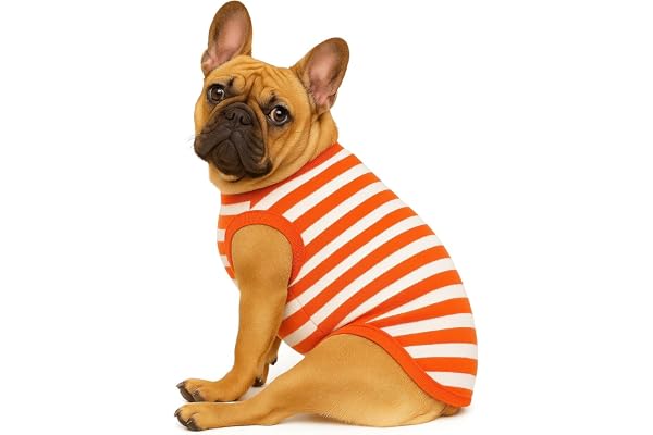 KUTKUT French Bulldog Fleece Shirt, Soft Flannel Stripes Pattern Button Closure Dog Sweatshirt, Winter Warm Thermal Jammie Clothes for Puppy French Bulldog, Pug Corgi(Size:XL, Chest:60cm,Length:35cm)
