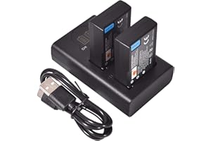 DSTE DE DSTE 2X EN-EL9 Ersatz Batterie + Duales USB-Ladegerät mit LCD-Display Kompatibel mit Nikon ENEL9 EN-EL9A und Nikon D40 D40x D60 D3000 D5000 Digital Kamera