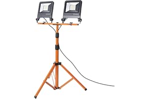 LEDVANCE 4058075213999 Luminaire, Aluminum|Acier, 100 W, Gris foncé, 2 x 50W