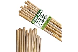 GROWMANIA.ES Control Garden Pack 30 Unidades Tutor de Bambú Ecológico de 120 cm | Estaca Natural Caña Sujetar Plantas ø 8-10 | Varillas Árboles, Hortalizas, Enredaderas y Cultivos