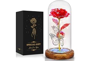 LEITON Ewige Rose im Glas, Galaxy Rose in Glaskuppel mit LED-Lichter, Geburtstagsgeschenk für Frauen Die Schöne und das Biest Rose, Weihnachten Rose für Frauen Mama Oma