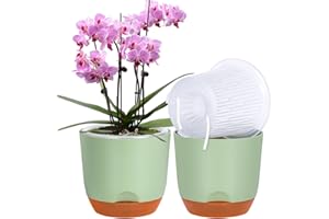 QCQHDU Lot de 2 pots à orchidée avec trous pour rempotage - Double couche et auto-irrigation avec bonne circulation de l'air (vert, 18,3 cm)